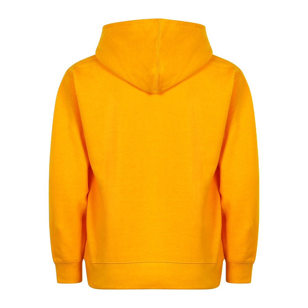 Youth X-Small GOLD Smart Blanks 301 