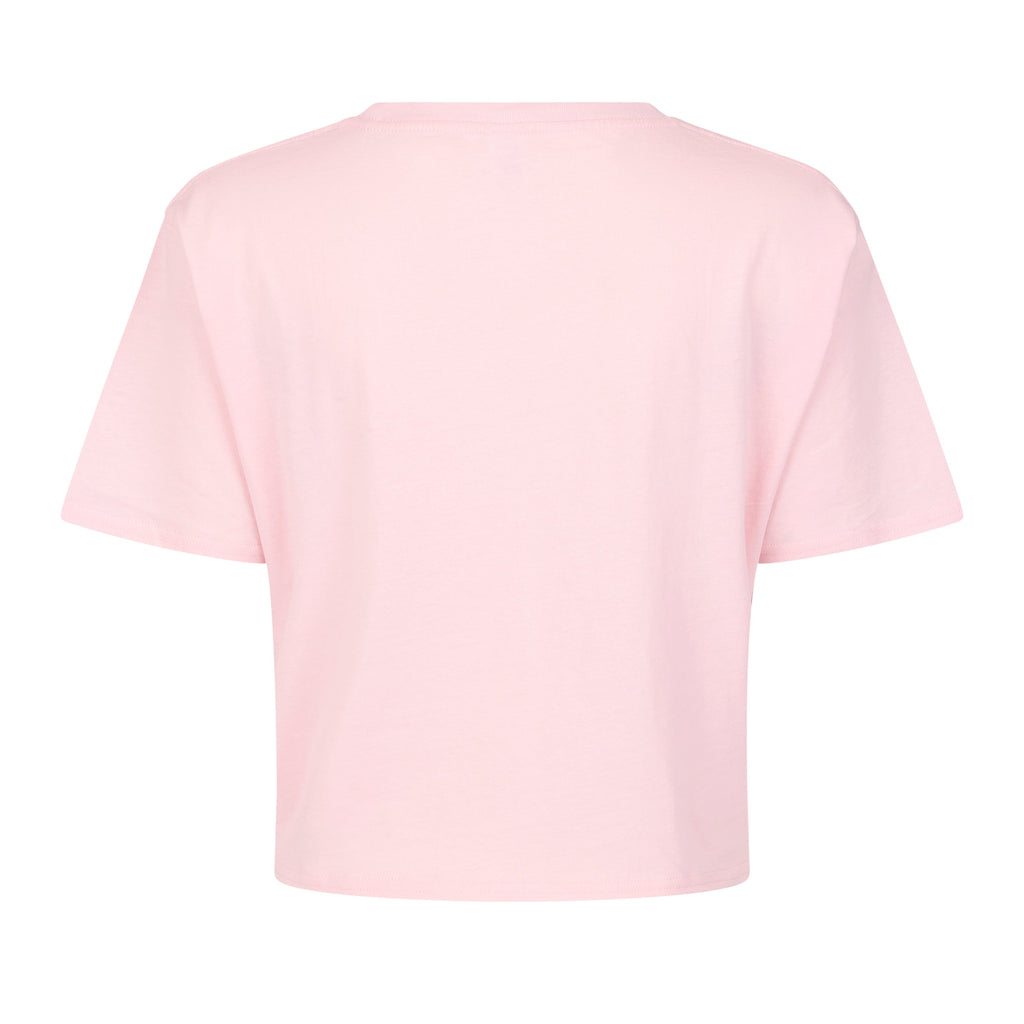 X-Small Baby Pink Smart Blanks 4003 