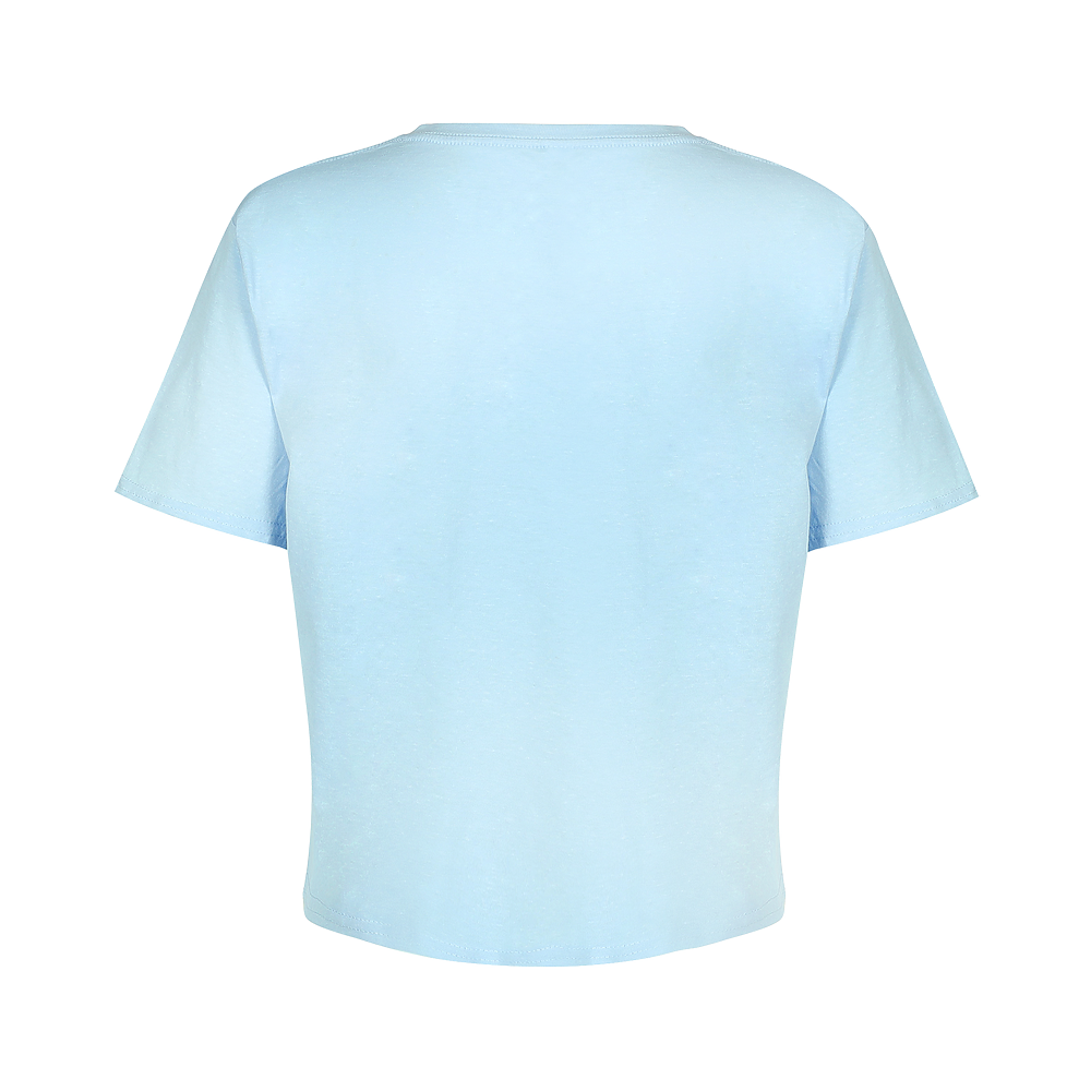 X-Small Powder Blue Smart Blanks 4003 